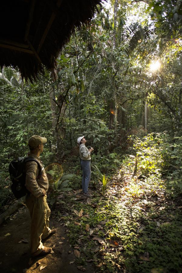 Amazon Field Station Byinkaterra Vandrerhjem Puerto Maldonado Eksteriør bilde